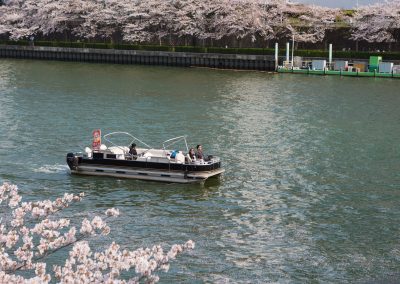 Osaka Wonder Cruise sakura
